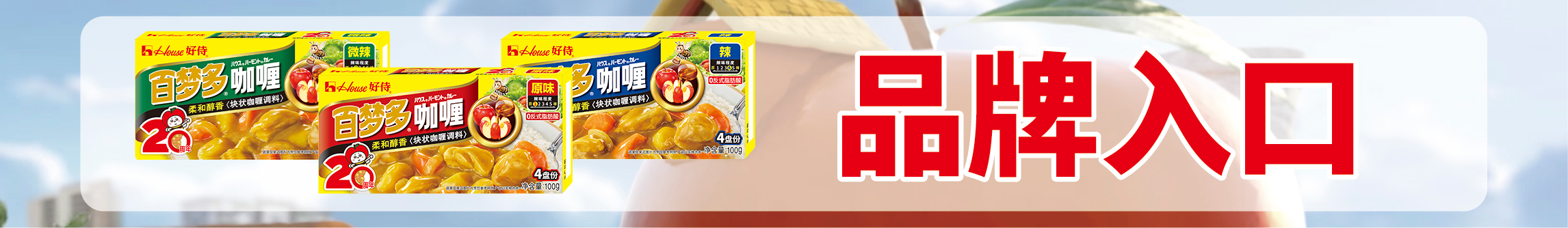 好侍食品_产品介绍